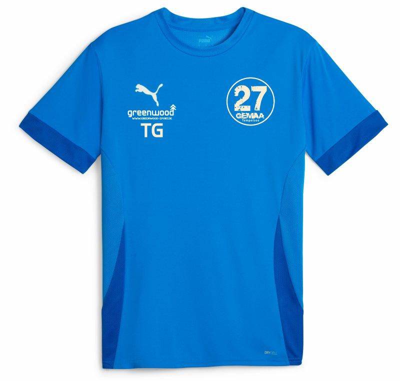 Puma teamGOAL Spieltagstrikot blau Gemaa