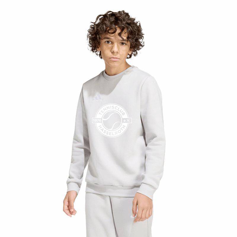 Fan-Sweat Ent26 TC Hasselroth Kinder grau