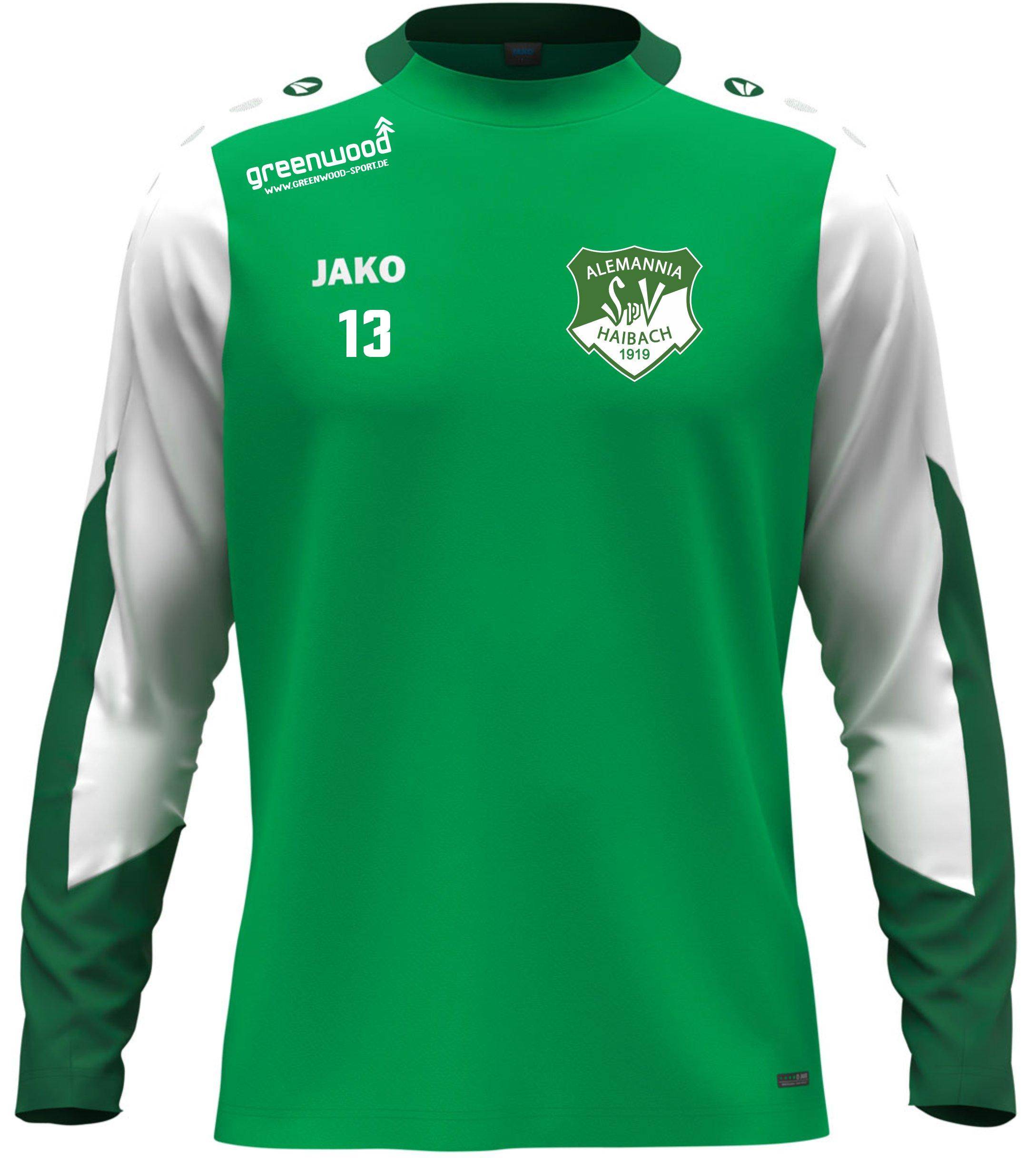 Longsleeve Dynamic Alemannia Haibach grün Longsleeve Dynamic Alemannia Haibach grün