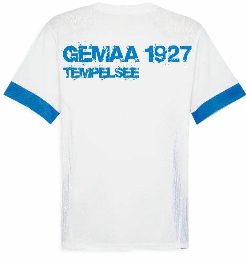 Puma teamGOAL Spieltagstrikot weiß Gemaa