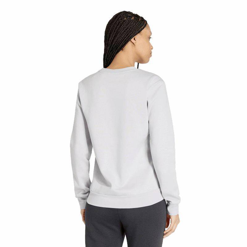 Fan-Sweat Ent26 TC Hasselroth Damen grau
