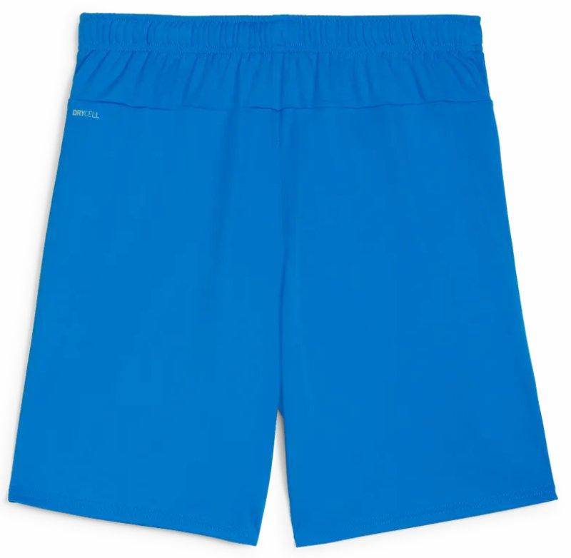 Puma teamGOAL Shorts blau Gemaa