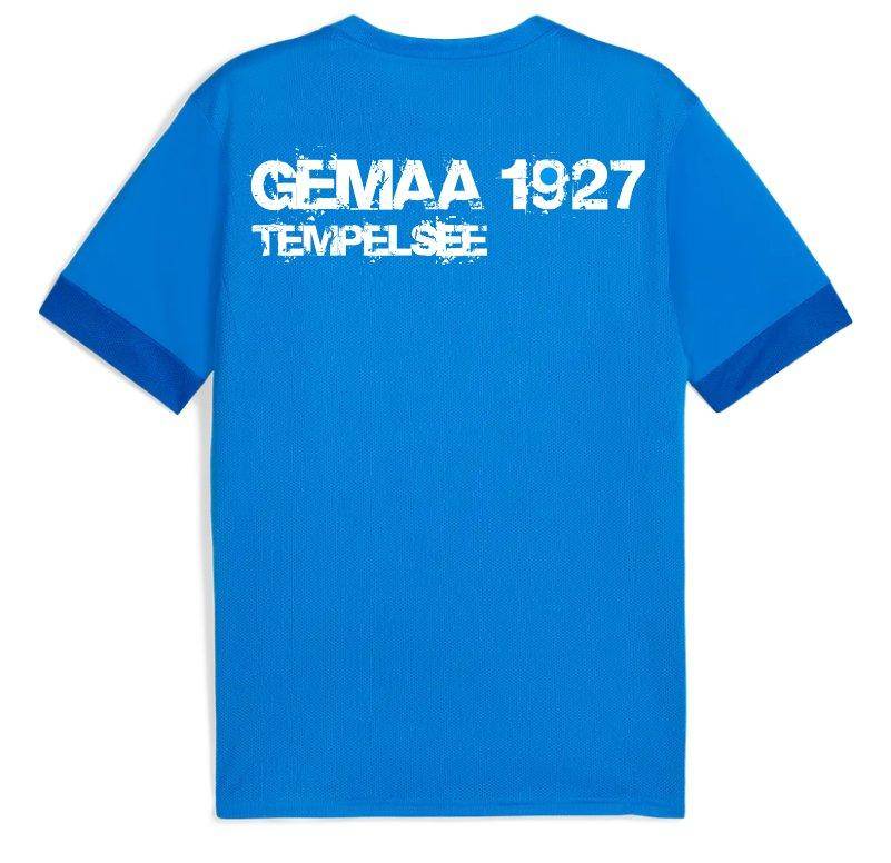 Puma teamGOAL Spieltagstrikot blau Gemaa