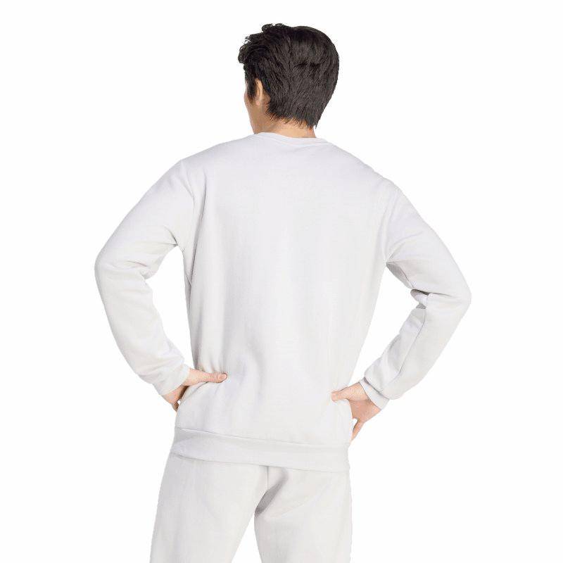 Fan-Sweat Ent26 TC Hasselroth Herren grau