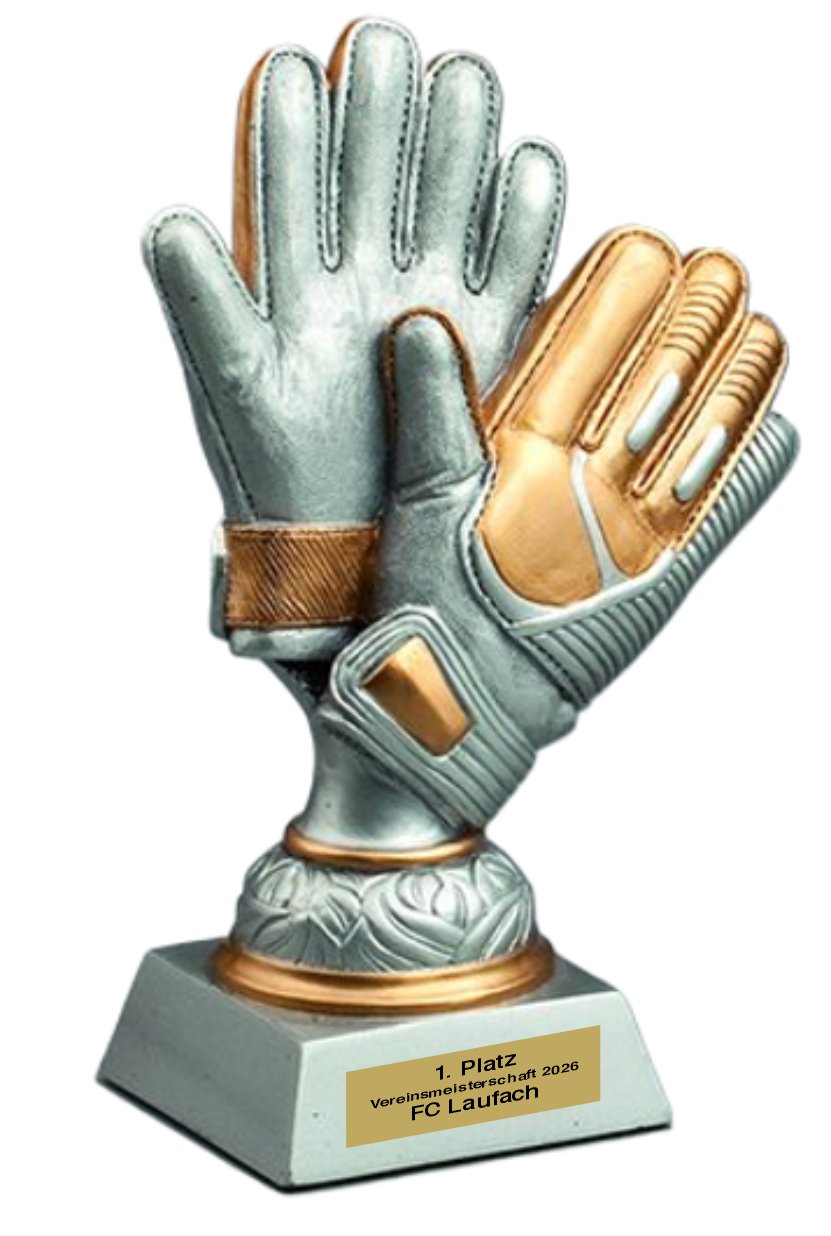 Pokal Golden Gloves silber