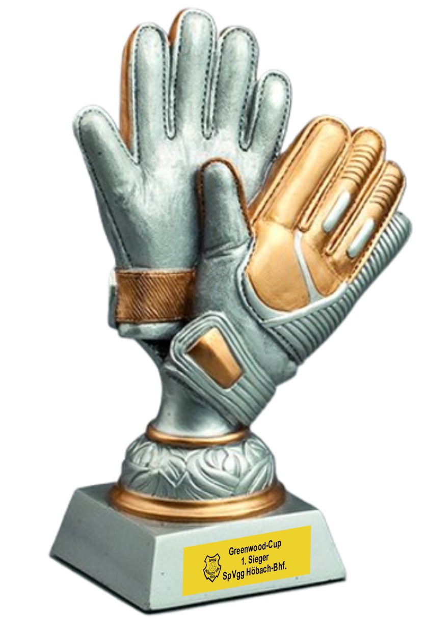 Pokal Golden Gloves silber