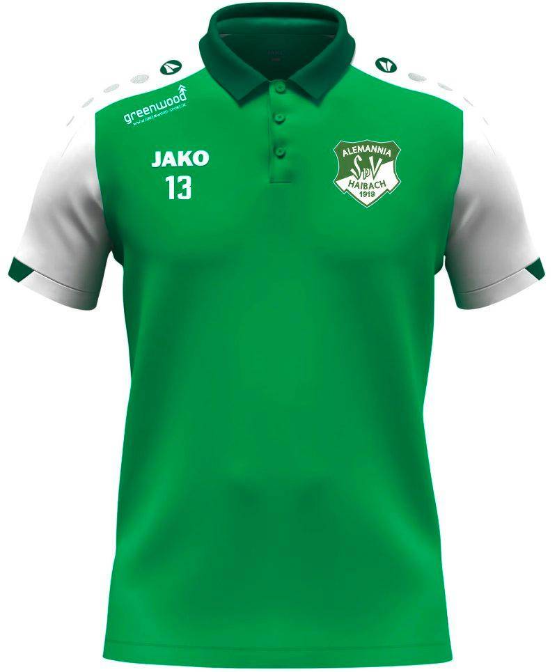 Polo Dynamic Alemannia Haibach grün Polo Dynamic Alemannia Haibach grün