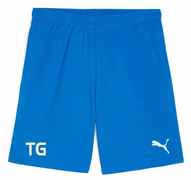 Puma teamGOAL Shorts blau Gemaa