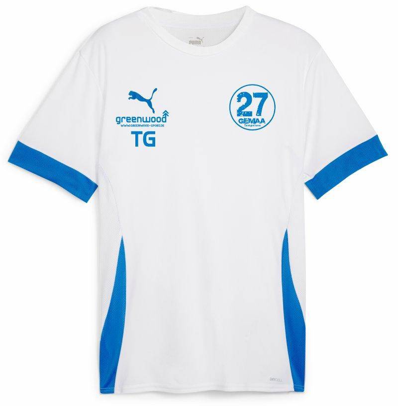 Puma teamGOAL Spieltagstrikot weiß Gemaa