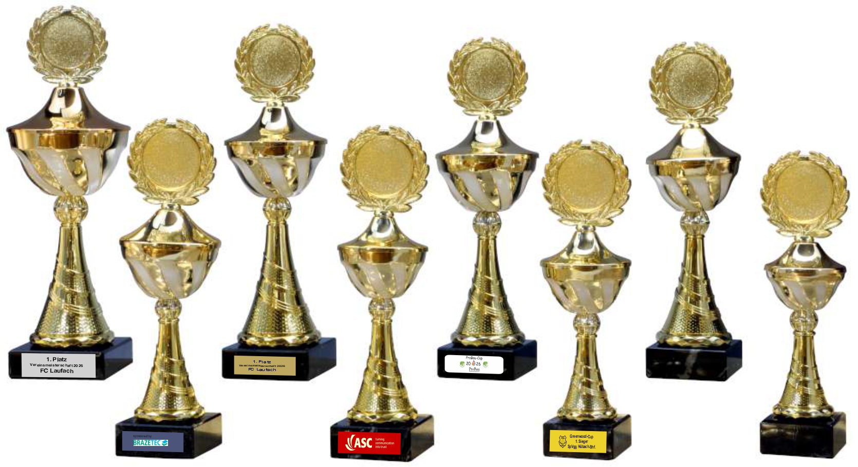 Pokal Fusion Cup gold